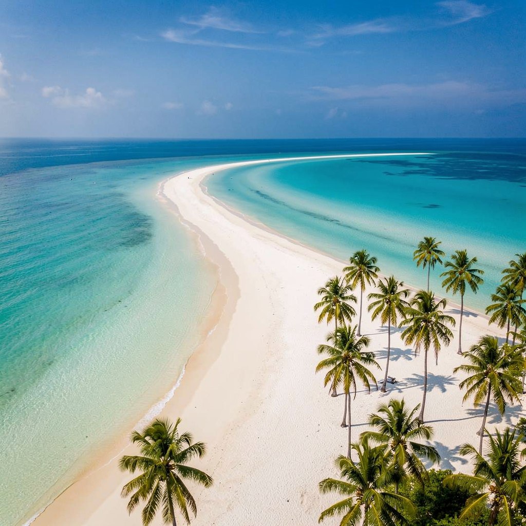 Aerial-style shot of a crescent beach with turquoise water, white sand, and a few palm trees, midday light, no people