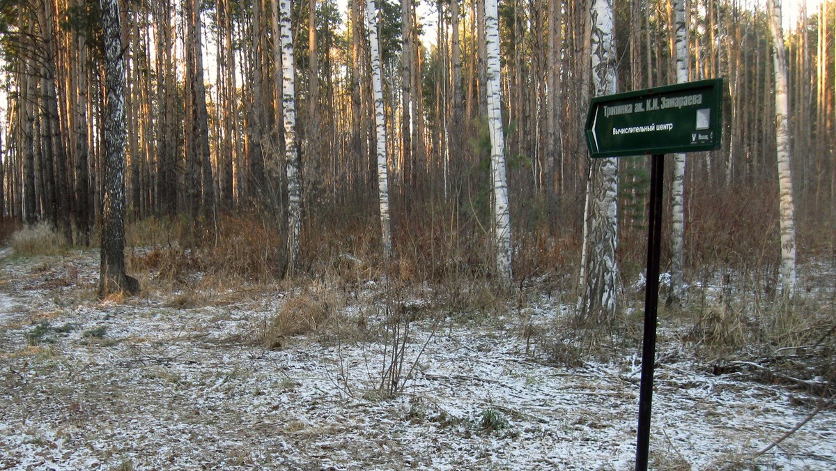 Большая прогулка по Академгородку — фото 7