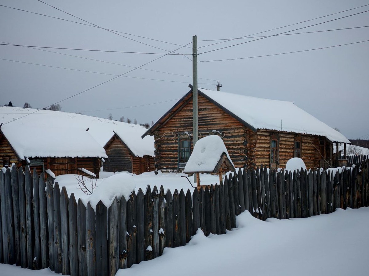Червонное золото настоящей тайги (из Новосибирска) — фото 9