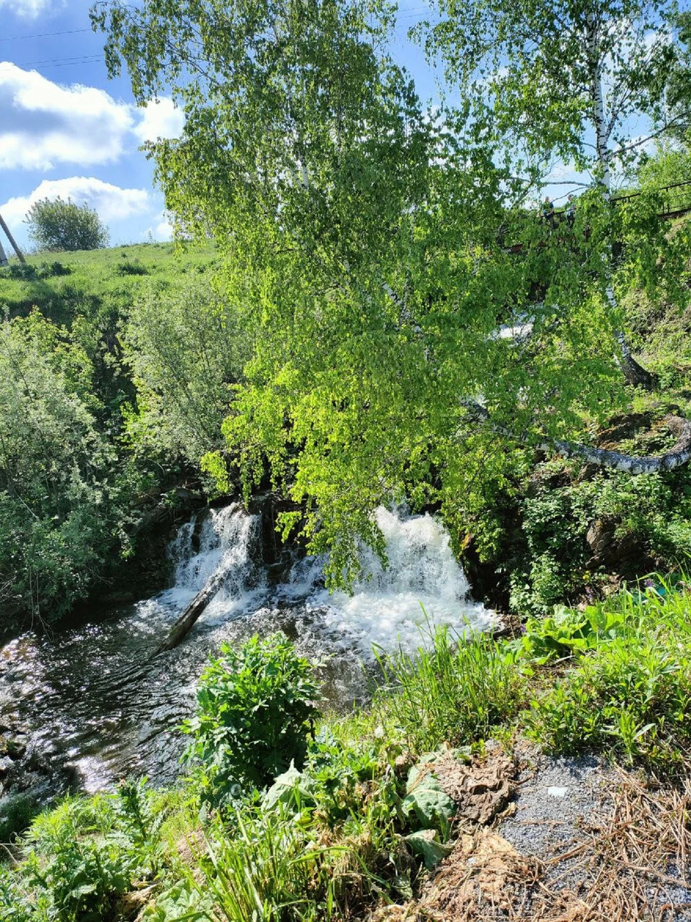 За зимней и летней сказкой — к Бердским скалам — фото 3